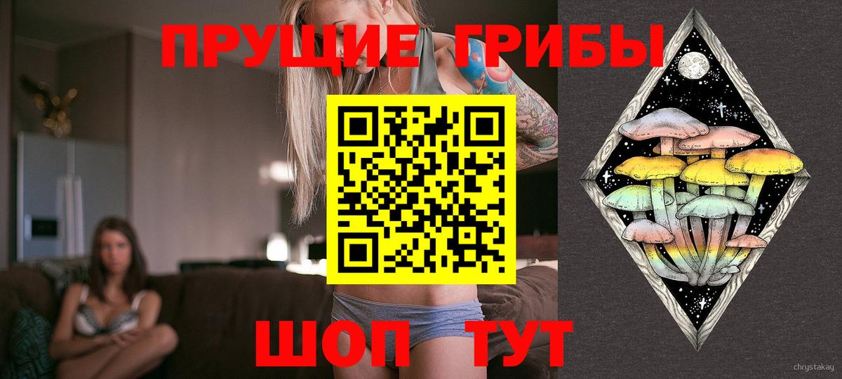 Десногорск  Галлюциногенные грибы Psilocybe  Вход с VPN 